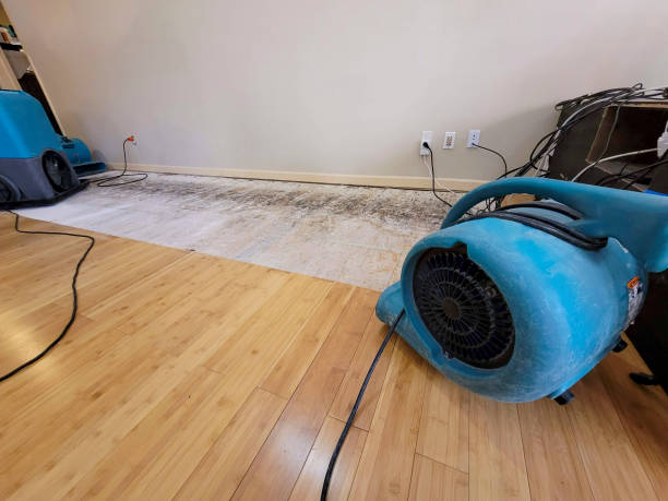 Professional Basement Flood Cleanup technician working in Phoenix, OR